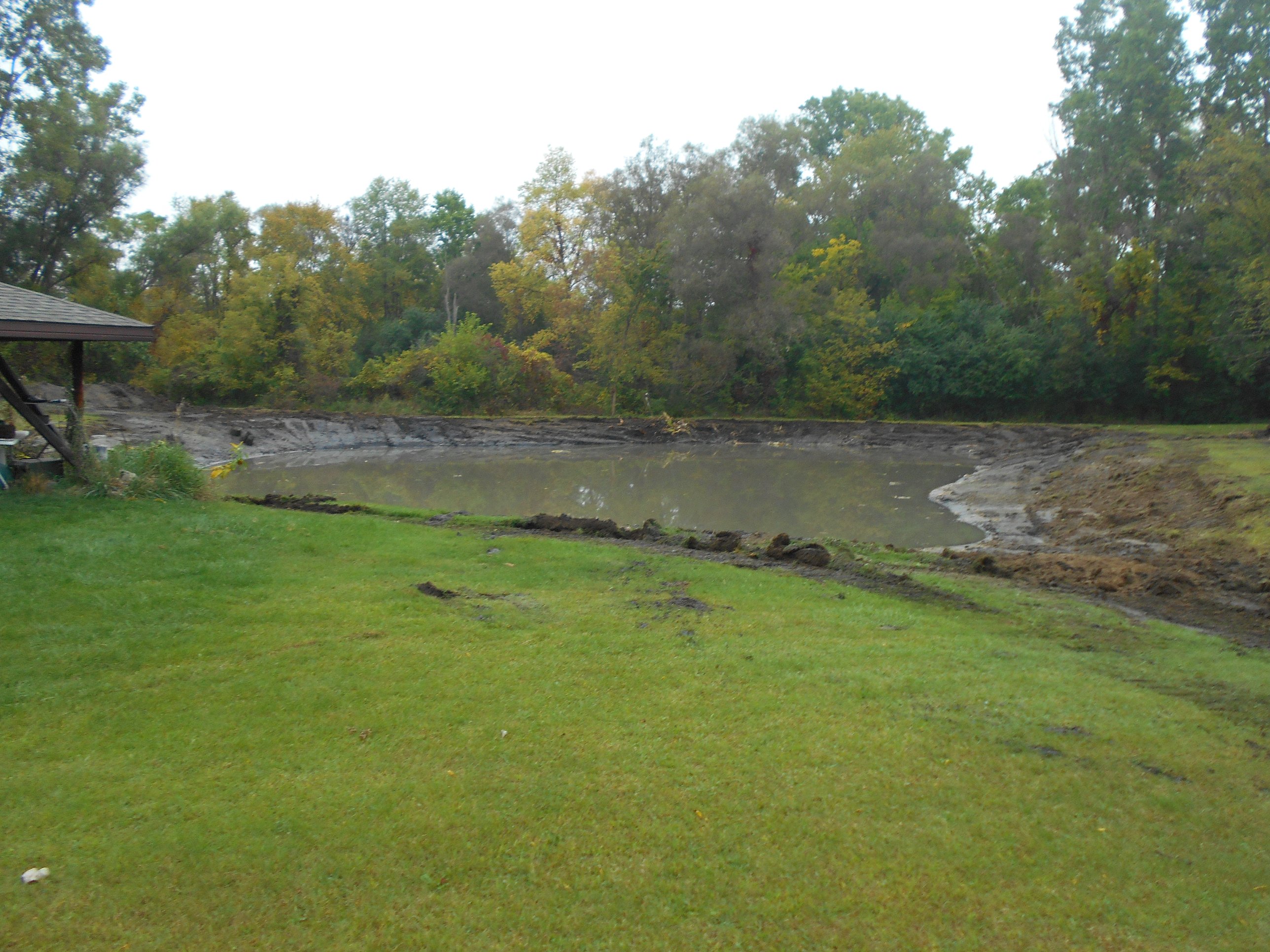 Dexter, MI Pond Clean Out
